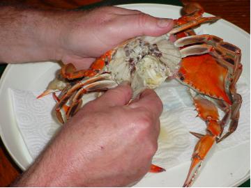 Peeling Crabs